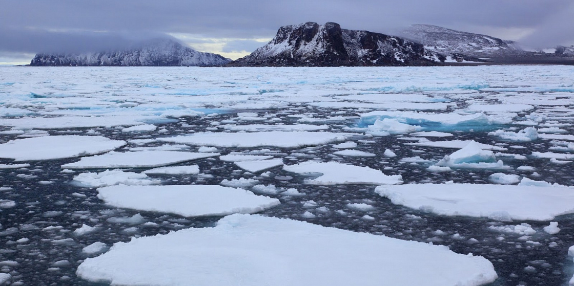 Арктика за неделю: под знаком экологии