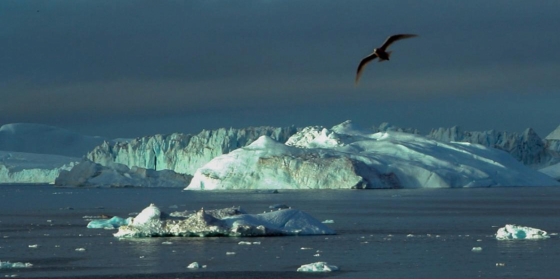 Арктика сегодня: ПМЭФ, институты развития и газовые проекты
