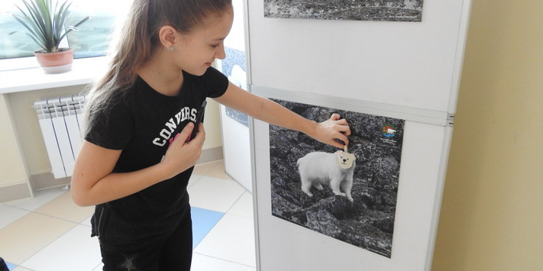 Норильчане отпраздновали Международный день Белого медведя