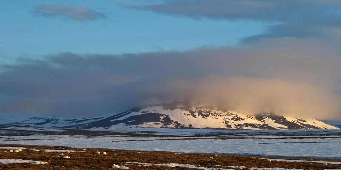 Арктика сегодня: новые нормы для ледоколов и СМП