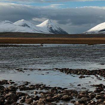 ПОРА читать арктическую рассылку! Вызовы нацпроектов, Единый арктический субботник – 2024