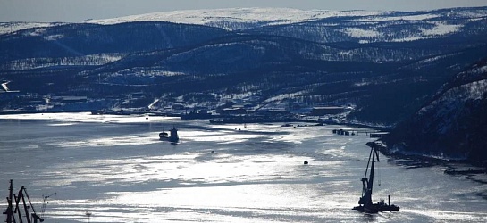 ПОРА и МГУ выпустили седьмой ежегодный рейтинг компаний Арктики «Полярный индекс»