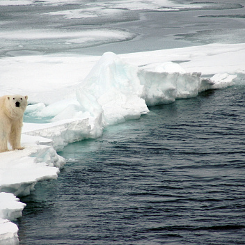Арктика за неделю: важнейшие темы арктической повестки с 21 по 25 ноября