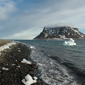 Эксперт ПОРА – о международном сотрудничестве в арктической науке