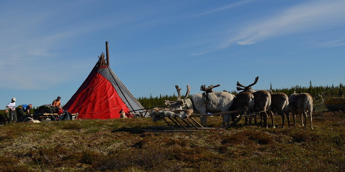 Арктика сегодня: первые итоги этнологической экспертизы