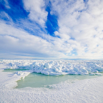 Арктика сегодня. Поддержку федерального бюджета получат 17 арктических и дальневосточных проектов