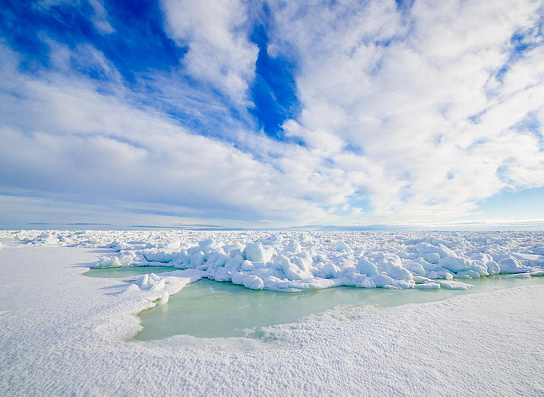 Арктика сегодня. Поддержку федерального бюджета получат 17 арктических и дальневосточных проектов