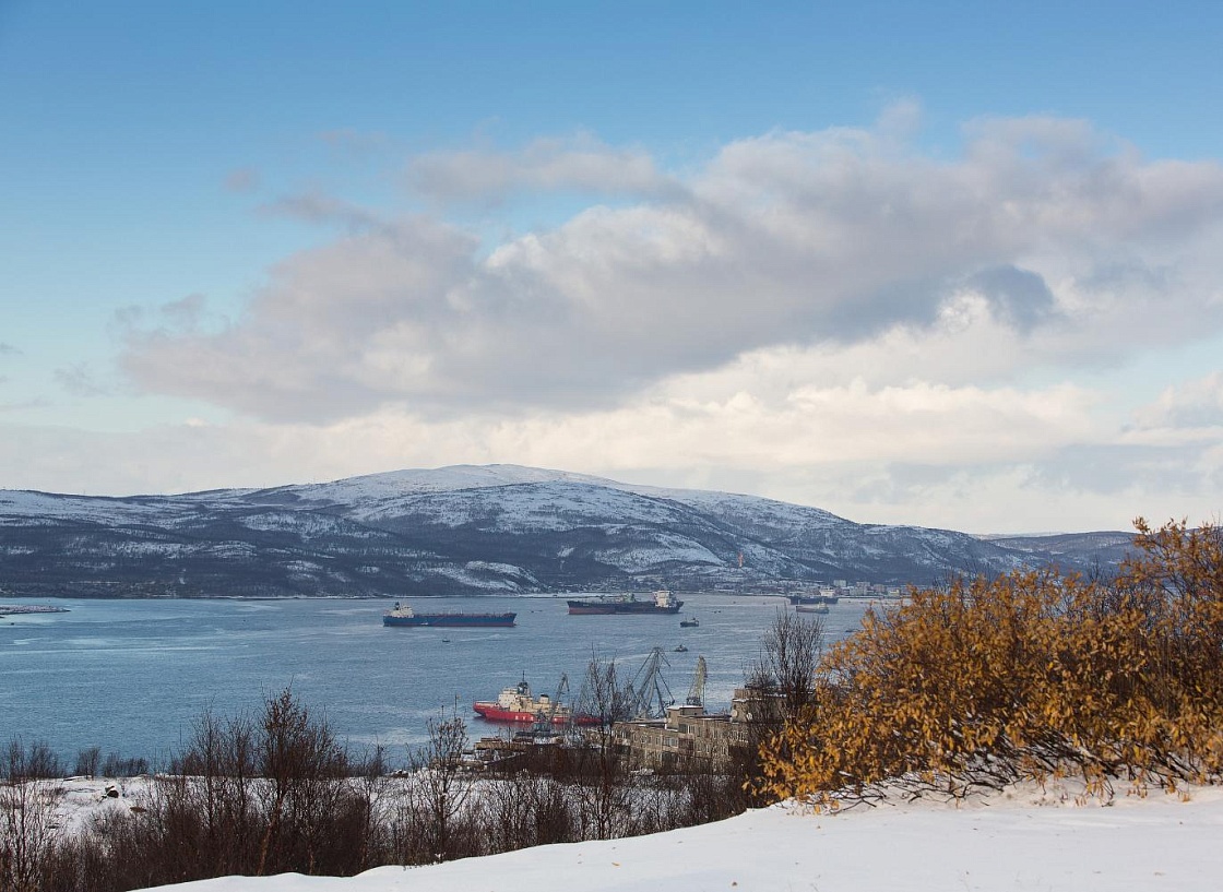 ПОРА и ВШЭ представили результаты первого этапа создания научного рейтинга арктических компаний