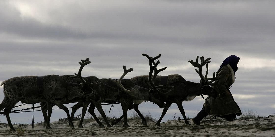 Эксперты ПОРА: этнотуризм должен приносить доходы коренным народам Арктики