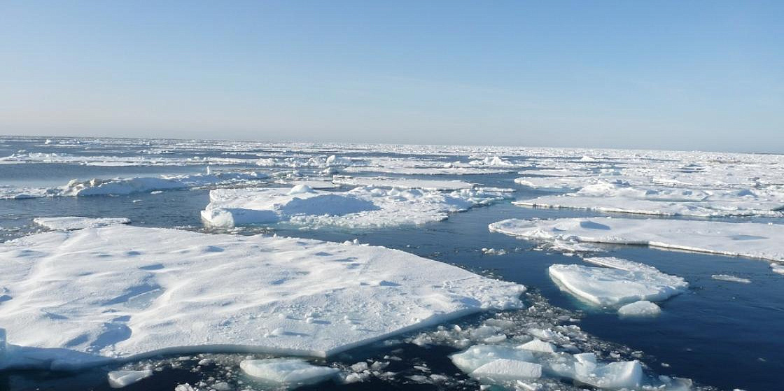 Новый арктический туристический маршрут запустили в Петербурге