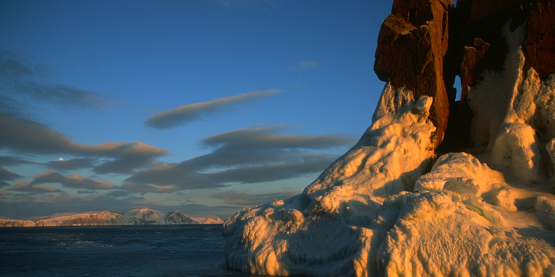 Арктика сегодня. Россия надеется пересмотреть рыболовные квоты для Берингова моря