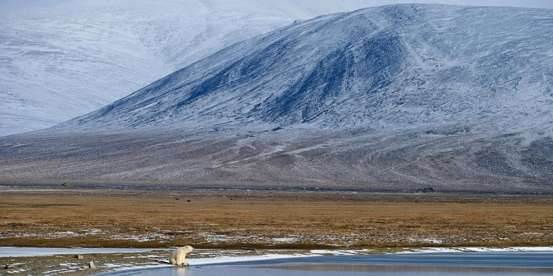 Арктика сегодня: интернет и телефонная связь будут доступнее для жителей Заполярья