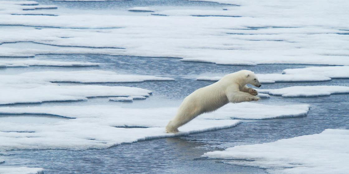 Арктика за неделю: важнейшие темы арктической повестки с 17 по 21 января