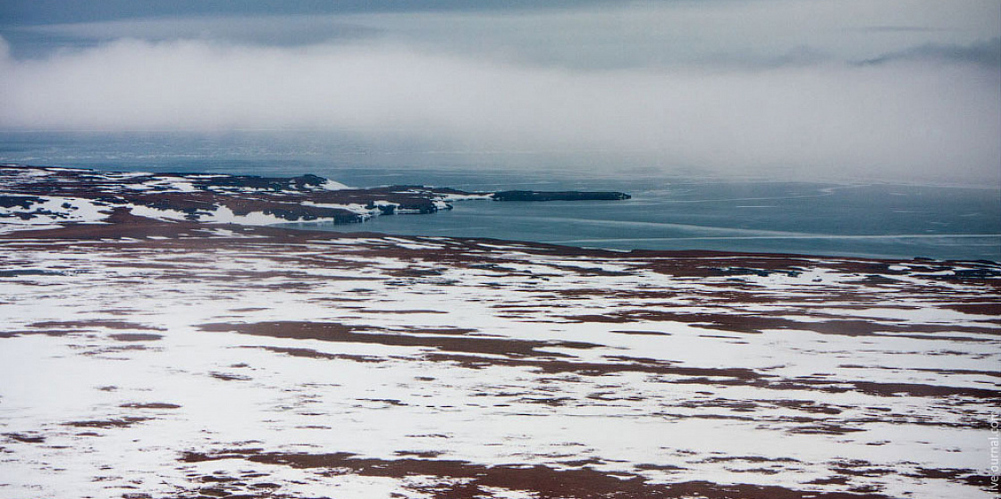 Арктика за неделю: международная жизнь, новые инициативы и крупные заказы