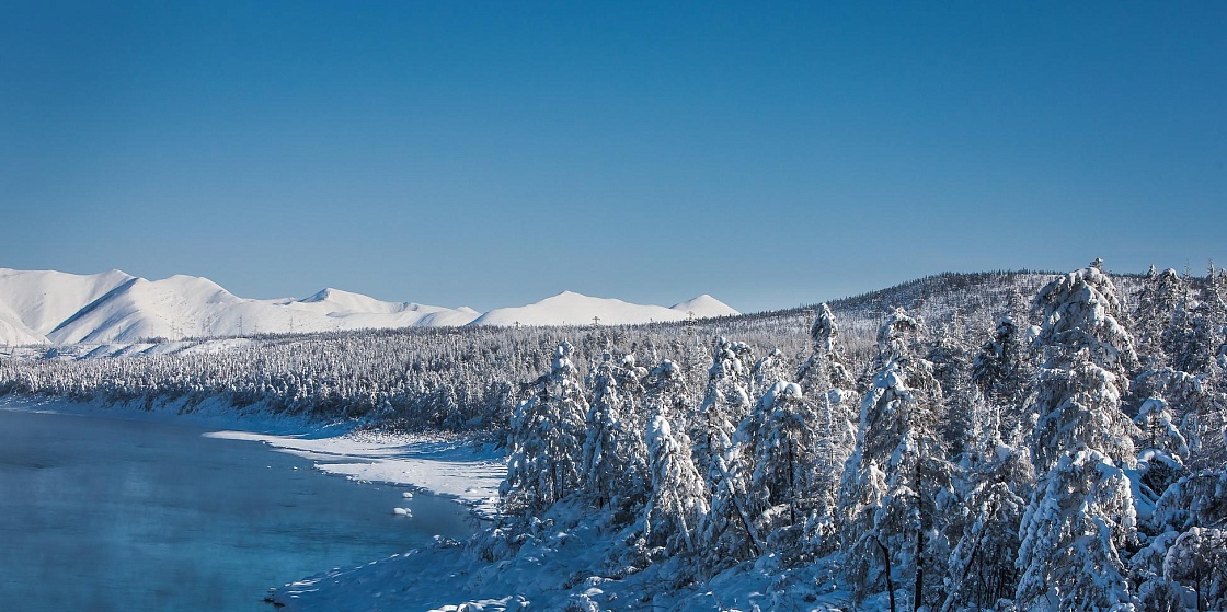 Бизнес поделился наработками по сохранению арктического биоразнообразия