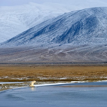 Рассылка «ПОРА в Арктику! GoArctic!» – выпуск от 25 октября 2024 года