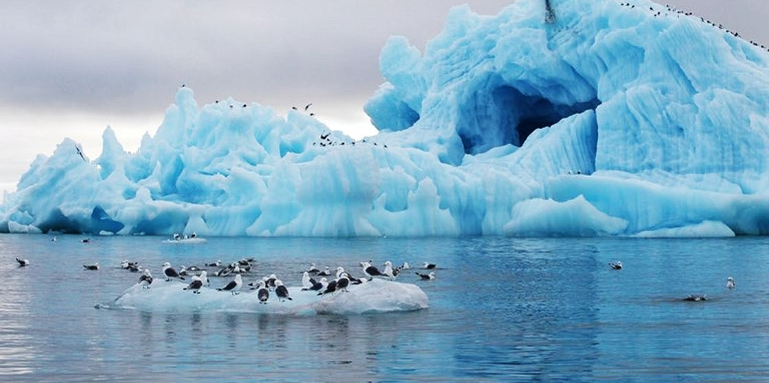 Арктика сегодня: «законодательная лихорадка»