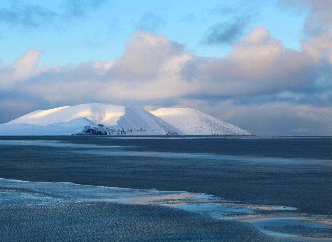 Рассылка «ПОРА в Арктику! GoArctic!» – выпуск от 13 сентября 2024 года